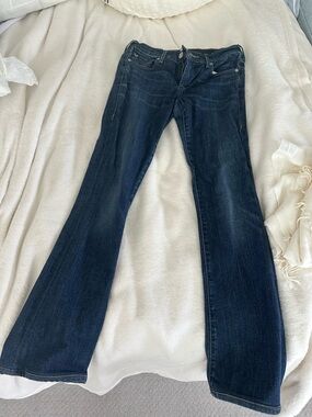 True Religion Dark Blue Flare Jeans